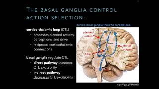 PT 536  Neurodegenerative Disorders of the Basal Ganglia [upl. by Neeruam316]