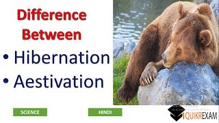 Difference Between Hibernation and Aestivation  Science  Hindi  Quikr Exam [upl. by Nyltak]