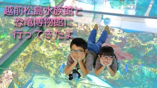 福井県恐竜博物館と越前松島水族館行ってきたよ！ [upl. by Essex]