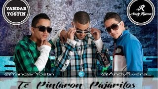 Te Pintaron Pajaritos En El Aire Dj Dragon Full Mix [upl. by Akiemaj]