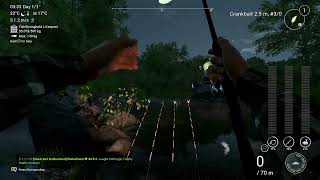 Fishing Planet  Neherrin  Redfin Pickerel Trophy [upl. by Xenophon]