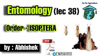 Order  ISOPTERA  Termites Lec 38 • Entomology • Go For Agriculture isoptera icar bhu ibps [upl. by Nawuj]