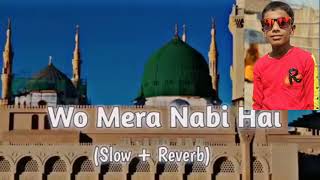 wo Mera nabi he sora nabi he Nath Dilkash Ali 123 [upl. by Gilmore]