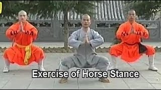 Shaolin Kung Fu basic moves [upl. by Harland918]