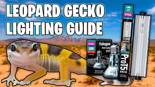 LEOPARD GECKO LIGHTING GUIDE [upl. by Der419]