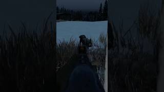 Only shoot if you REALLY need to on DayZs new map Sakal DayZ [upl. by Nylzaj919]