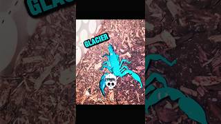 Glacier Scorpion☠️ trollface edit shorts [upl. by Osicran]