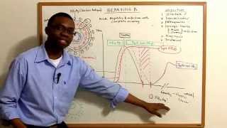 Hepatitis B Infections Pathophysiology made simple [upl. by Acinod]