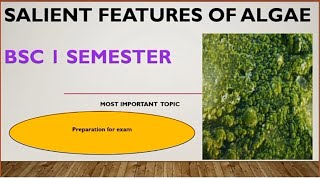 Salient features of algae Bsc 1st semester topic [upl. by Alegnasor]