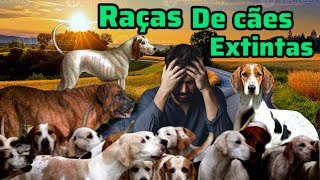 Top 7 Raças de Cães extintos que não veremos mais cães extinção curiosidadeanimal [upl. by Granville519]