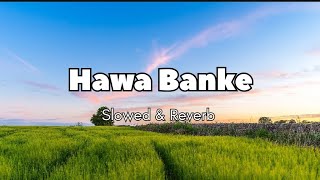 Hawa Banke  Slowed amp Reverb  Darshan Raval  Full Song [upl. by Delorenzo]