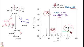 Week 9  Lecture 41  EI Mass Spectra of various molecules1 [upl. by Oinotnaocram]