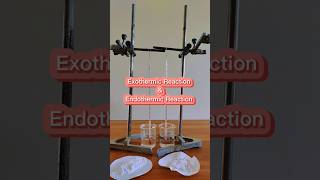 Best activity Exothermic and Endothermic Reaction Part 1chemistry [upl. by Evalyn394]