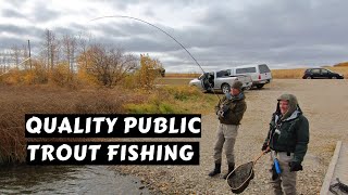 Quality Public Trout Fishing  Parklands [upl. by Michella]