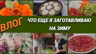 Влог Что еще я заготавливаю на зимуSubTatiana [upl. by Angelique854]