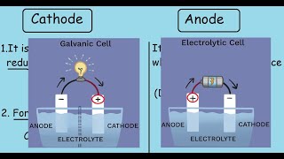 Cathode and Anode Quick differences and comparisons [upl. by Delsman625]