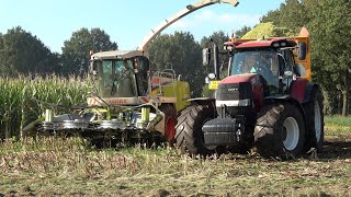 Mais hakselen door loonbedrijf Lamberink met Claas Jaguar 870 en 2 Case IH Puma 200 CVX 2021 [upl. by Lozano]