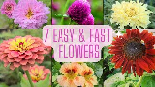 7 Easy amp Fast Flowers To Grow From Seed Beginner Friendly Annual Flowers [upl. by Asiret204]