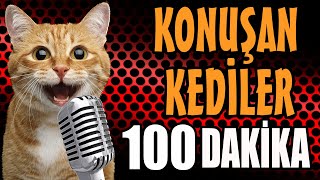 Konuşan Kediler 100 Dakika  Sinema Tadında En Komik Kedi Videoları [upl. by Orlan]