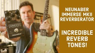 NEUNABER IMMERSE MK II  INCREDIBLE reverb tones [upl. by Vokaay]