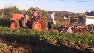 PELEA AGRICULTORES [upl. by Ameg96]