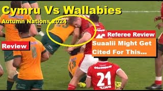 Review Wales VS Wallabies Autumn Nations 2024 Reactions Analysis amp Recap Suaalii in trouble [upl. by Cartwell]