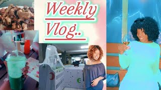 Weekly Vlog swimming partying shopping babyshower prep carolclara [upl. by Sabu]