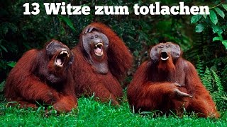 Die besten Witze zum TOTLACHEN [upl. by Aseel]