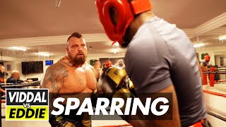 VIDDAL RILEY VS EDDIE HALL  FULL SPARRING VIDEO [upl. by Ilrac50]