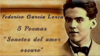 FEDERICO GARCÃA LORCA5 PoemasquotSonetos del amor oscuroquotPor Silvana Ortega Sil Orâ¤ï¸ [upl. by Einnad]