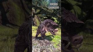 FFXIV Mounts Calydontis [upl. by Ailongam]