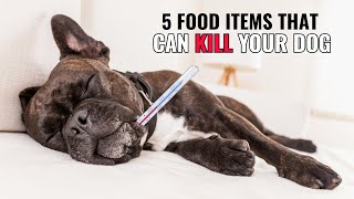 5 food items that can KILL your dog [upl. by Blithe]