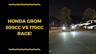 300cc grom vs koso 170 4v grom [upl. by Greggory]