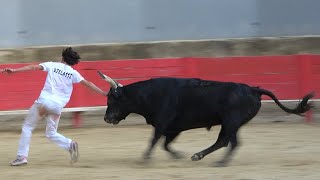 VALLABREGUESLigueCourse Camarguaise05062024 [upl. by Muraida343]