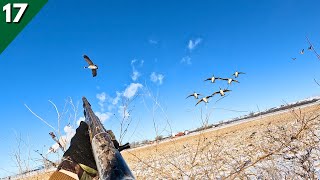 DECOYING Late Season GEESE In TIGHT  Goose Hunting 2023 [upl. by Vergos502]