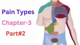 Mechanisms of referred visceral pain  pain Types  Multisegmental innervation  part2 [upl. by Llemrej408]