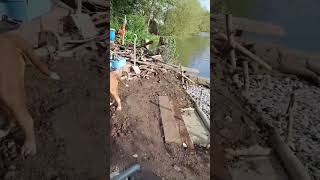 FISHERY VLOG1  A day in the lifecomingsoon carp carpfishing fishingvlog watchdaily [upl. by Blane]