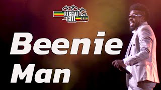 Beenie Man Live  Reggae Geel Festival Belgium 2019 [upl. by Floss]