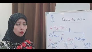 NUCLEOPROTEIN Metabolism Session 1 NUCLEOPROTEIN [upl. by Aiyn]