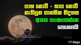 How to Apply the TIMWOOD Concept to Simplify Your Personal Life  ලාභ නොවී මානසික නිදහස ලඟා කරගමු [upl. by Hallie]