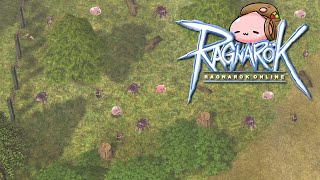 Lighthalzen Fields  CheongChoon 1 Hour Ragnarok Online Music amp Ambience [upl. by Summers]