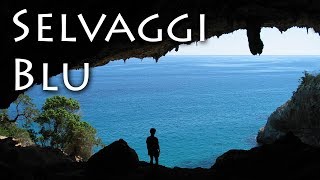 Selvaggi Blu [upl. by Amiel]