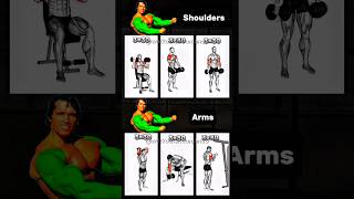 ✅ Conquer Arnold Split Day 5  Shoulders amp Arms shorts youtubeshorts gym biceps [upl. by Arman]