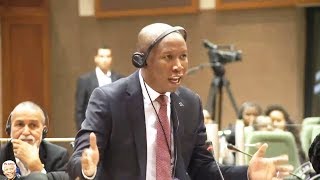 Julius Malema Lectures PanAfrican Parliament [upl. by Acirederf528]