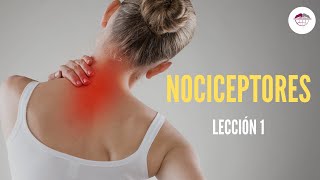 1 NOCICEPTORES FISIOLOGÍA DEL DOLOR [upl. by Annayrb676]