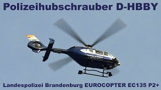 Polizeihubschrauber der Landespolizei Brandenburg DHBBY EUROCOPTER EC135 P2 [upl. by Anicart]