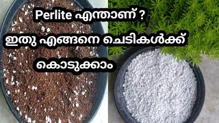 Perlite uses in gardening എന്താണ് perlite അതു ചെടികൾക്ക് എങ്ങനെ കൊടുക്കാം [upl. by Nalyd583]