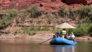 Cataract Canyon Raft Trip HD  Wilderness River Adventures rafting [upl. by Boucher]