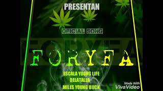 Zona Malibu Dmp family ft G unit moneyFORYFANEW SONG [upl. by Carolynne34]