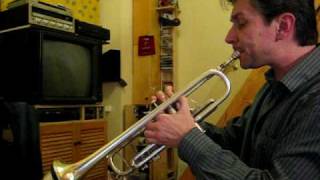 Csatos Ferenc  trumpet  West Side Story  Somewhere [upl. by Orman7]